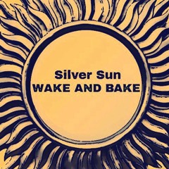 silver sun