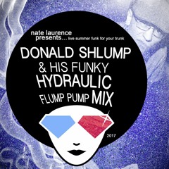 Nate Laurence - Donald Shlump & His Funky Hydraulic Flump Pump Mix 5-25-17