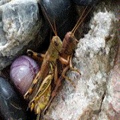 I want people to fuck to this beat