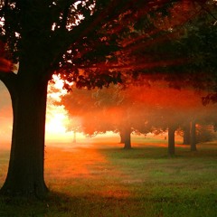 Dawn - (Original Mix) Free Download