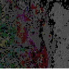 Robin Hood Robbin' the Hood