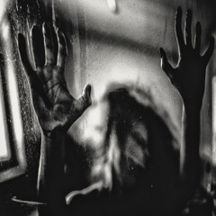 Positive Shadow, Negative Light