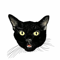 WE FUCKIN NASTY AT YO BITCHES HOUSE