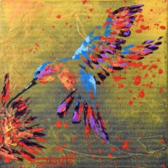 Colibrí