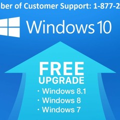 1877-242-3672 How to Upgrade Windows 8.1 to Windows 10?