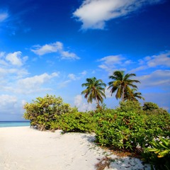 نواهنگ زیبای «بی قرار» با صدای «علی فانی»