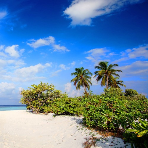 نواهنگ زیبای «بی قرار» با صدای «علی فانی»