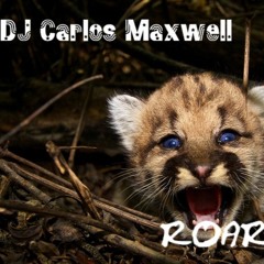 ROAR (Original Mix)