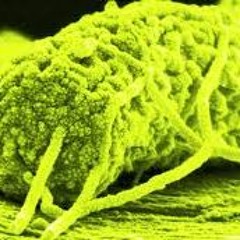 Microbe - No More Cowbell