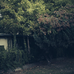 MUSIC by JORIS VOORN