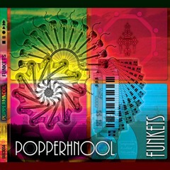 9.PopperHnool - Vibrations Of Rolling Sun