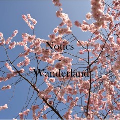 Wanderland