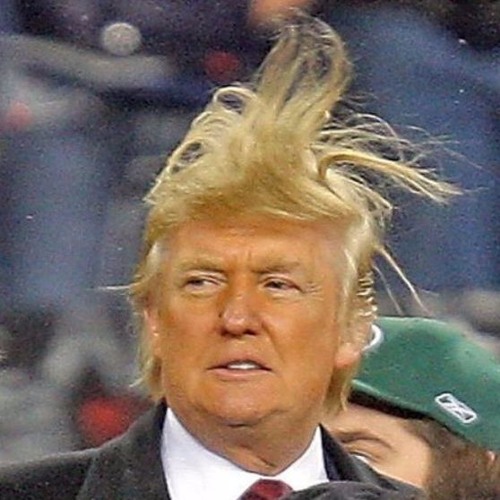 My Wig Is Flyer Than Yours