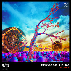 DISSØLV - Redwood Rising [Infusion 03 / 05]