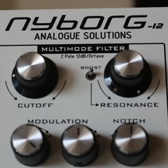 NYBORG 12 - ANALOG STUDY 1