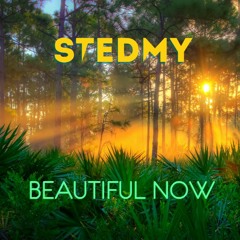 Beautiful Now (Original Mix)
