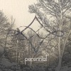01-misunderstood-perennial-music-uk