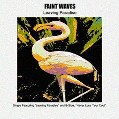 Faint Waves - Never Lose Your Cool