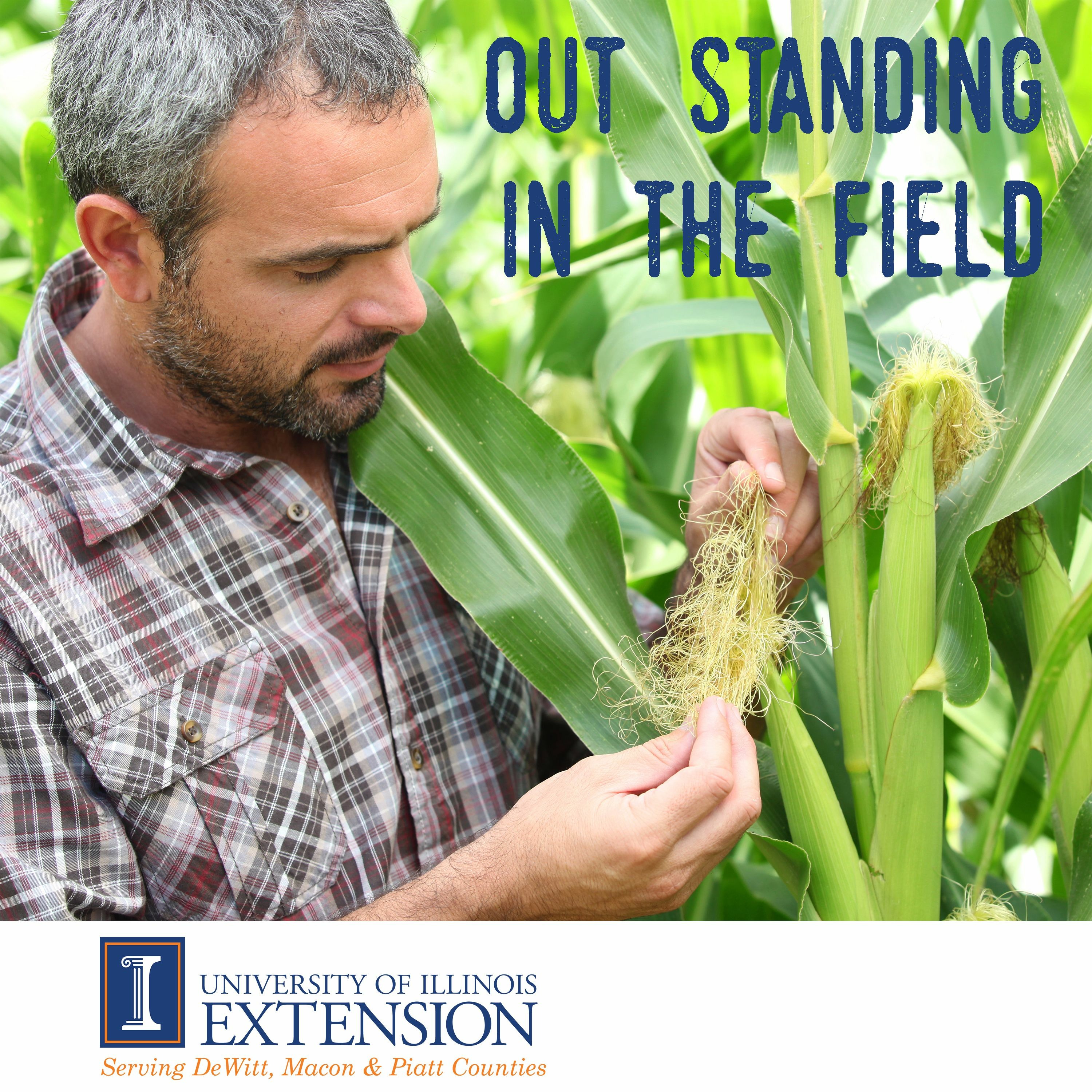 Out Standing in the Field