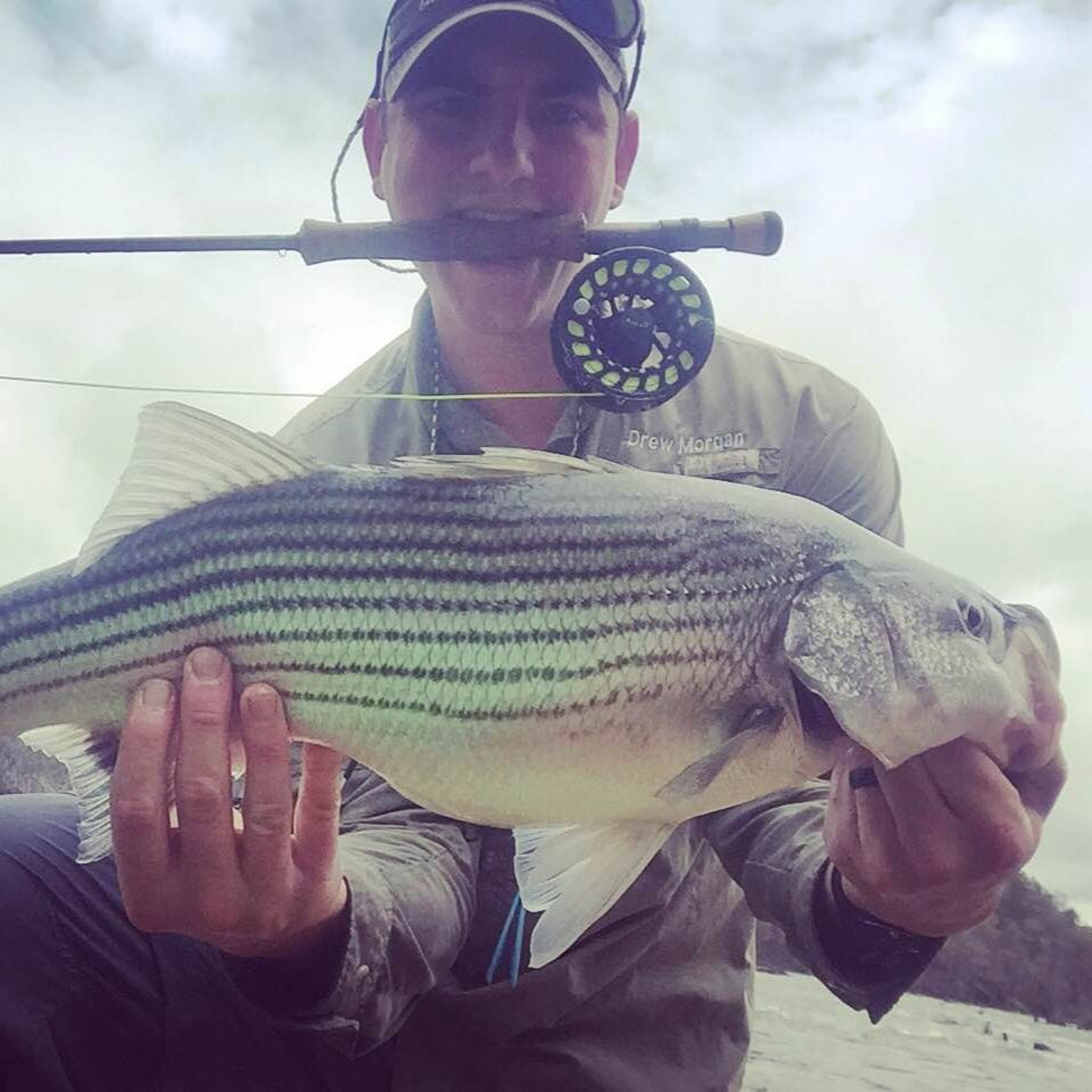 Episode #1: Introductions