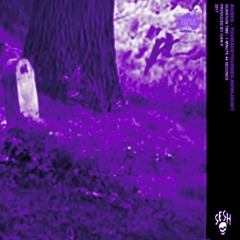 Bones - YouMadeYourBed,NowLieInIt [Chopped & Screwed] PhiXioN