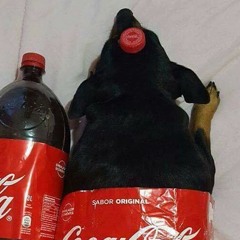 Nathan Fth- Air - Trance