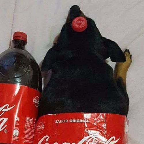 Nathan Fth- Air - Trance