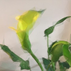 PRETTY / ONLYONASUNDAY Prod By: Khrysis