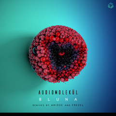 PREMIERE: Audiomolekül - Bluna (Ariose Remix) [Techgnosis Records]