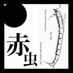 AKAMUSHI Live 20170524UTERO Fukuoka JAPAN