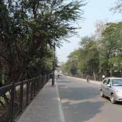 ed shareen cover-perfect