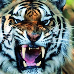 Raymond Ft Shikano Whit Pato Runa - Quien es quien....