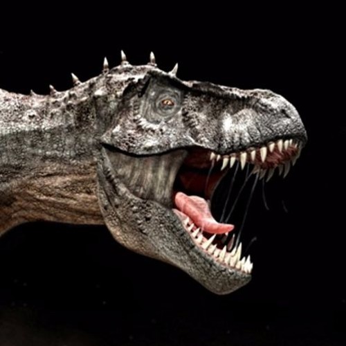 T-Rex Master 0.3