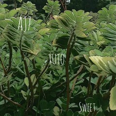 AJ7 & YUTO - Sweet