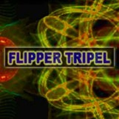 FLIPPER TRIPEL - progreessiv shman