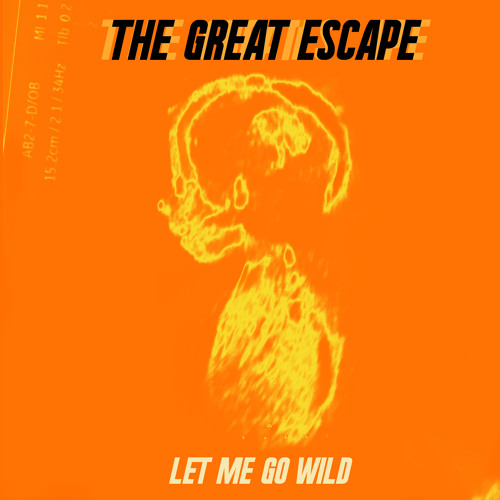 Let Me Go Wild (Robot Koch Remix)