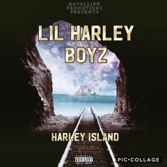 LHB - Run in, Run Out