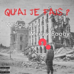 widgunz ft Meezy Baaby - Qu'ai je fais?