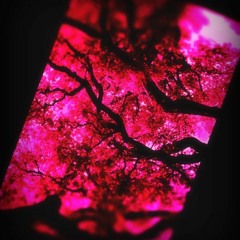 MWP Mike Wood Project - dark star