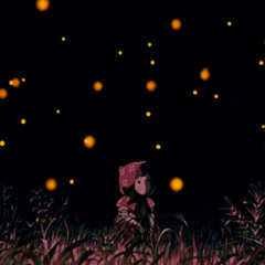 蛍火 / firefly