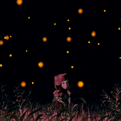 蛍火 / firefly