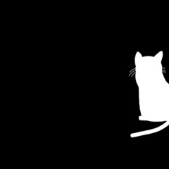 skrillex/This is How We Do It Right On Time (VIP)/ black cat/TC Mash