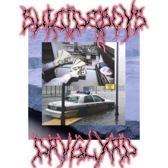 $UICIDEBOY$ - AUDUBON (DRVGLXRD C&S)