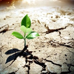 Hope - Phil Pendlebury