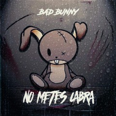 Bad Bunny – No Metes Cabra