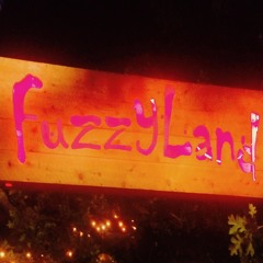 Deeply Fuzzy