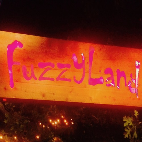 Deeply Fuzzy