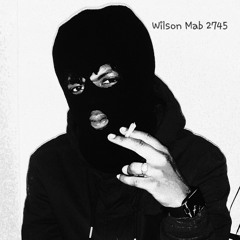 Wilson Mab - resistência ft davs (prod.riqdaqota casa dos beats)