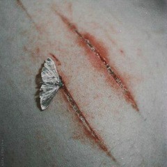 i tried, i flied, i felt, i died.