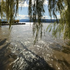 The World Is Going To End Tonight